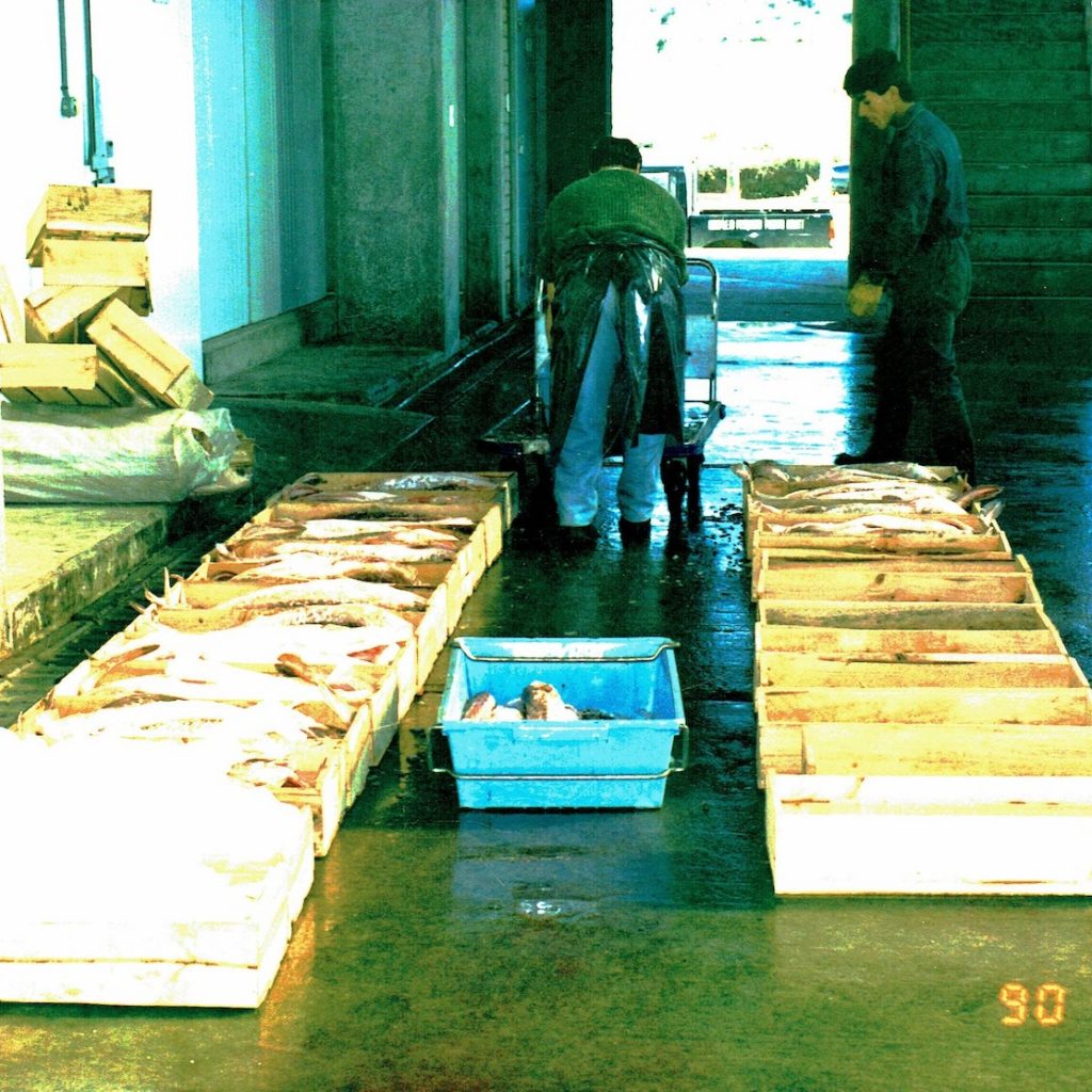 historia_fundacion_llanquihue_22