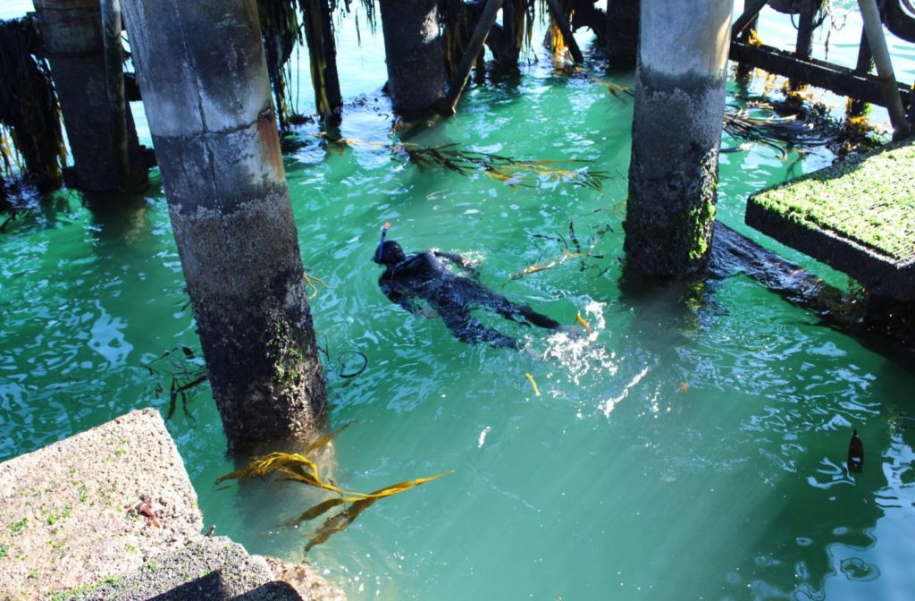 Buceo seguro