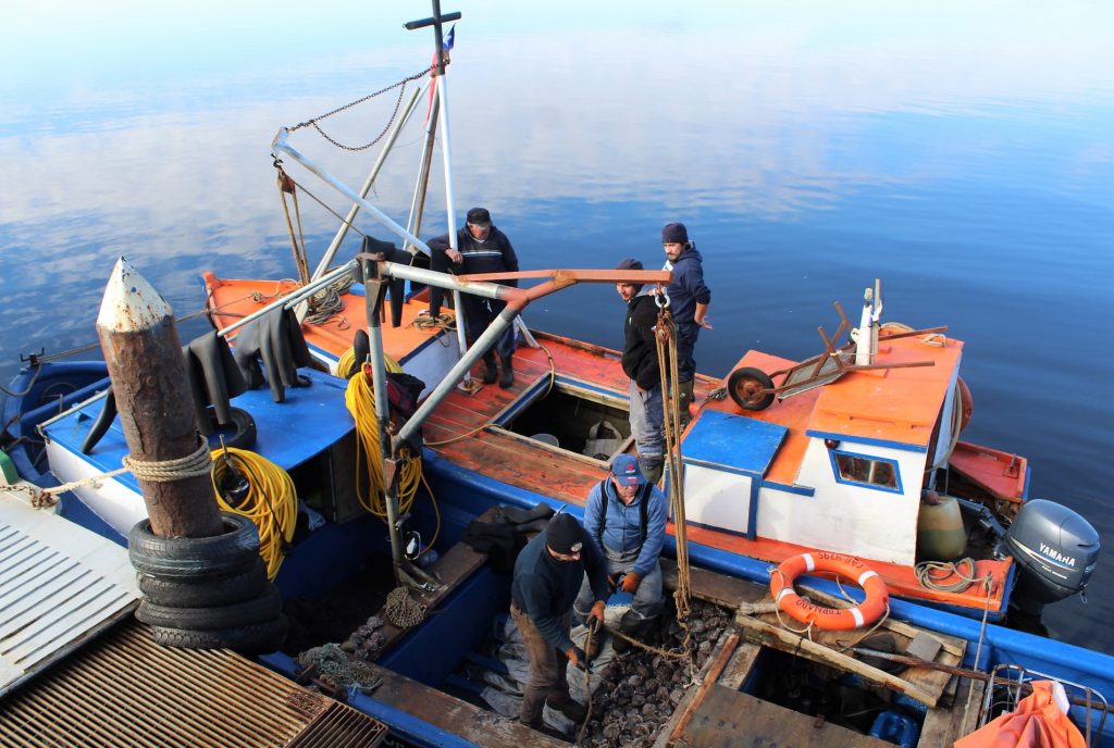 Fair Trade Fair Trade