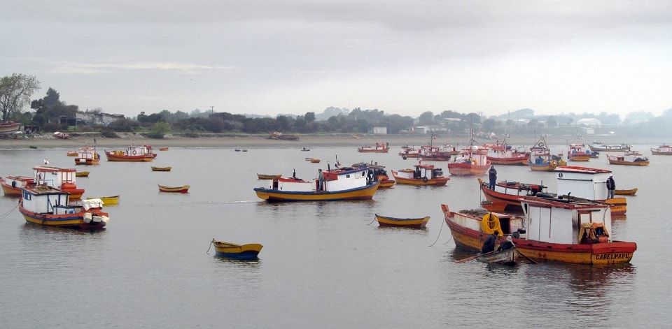 Región del Biobío: crean Mesa Regional de Fomento para la pesca artesanal