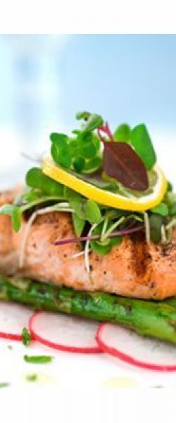 platos gourmet 1