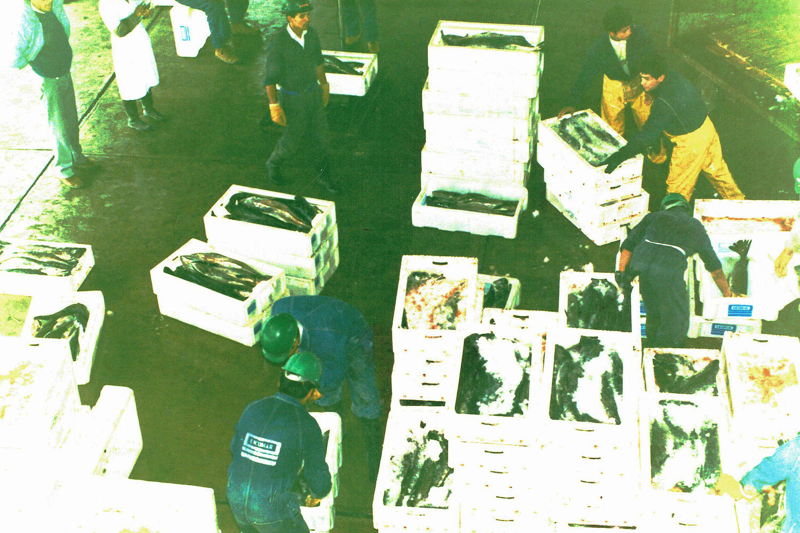 historia_fundacion_llanquihue_12