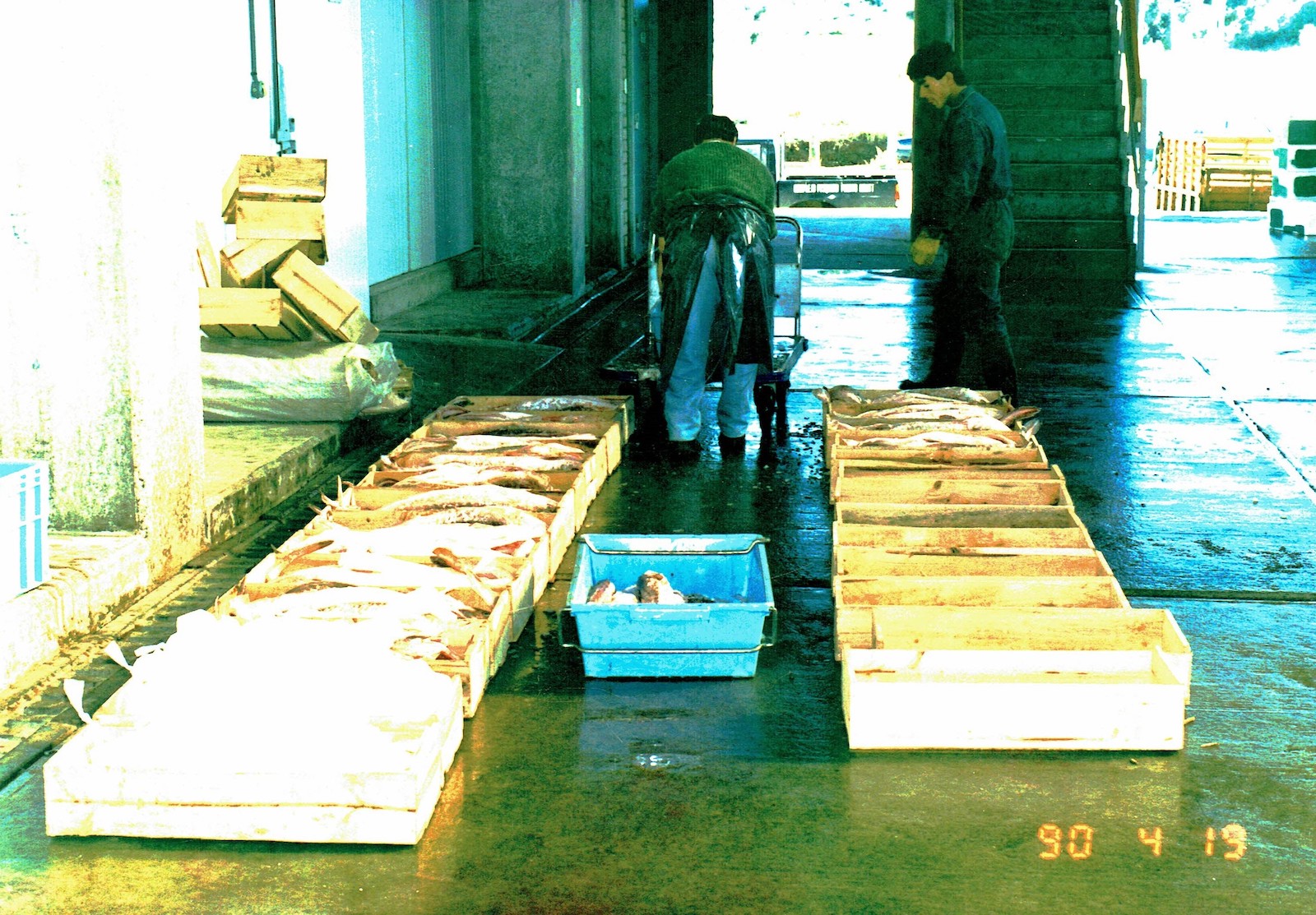 historia_fundacion_llanquihue_22