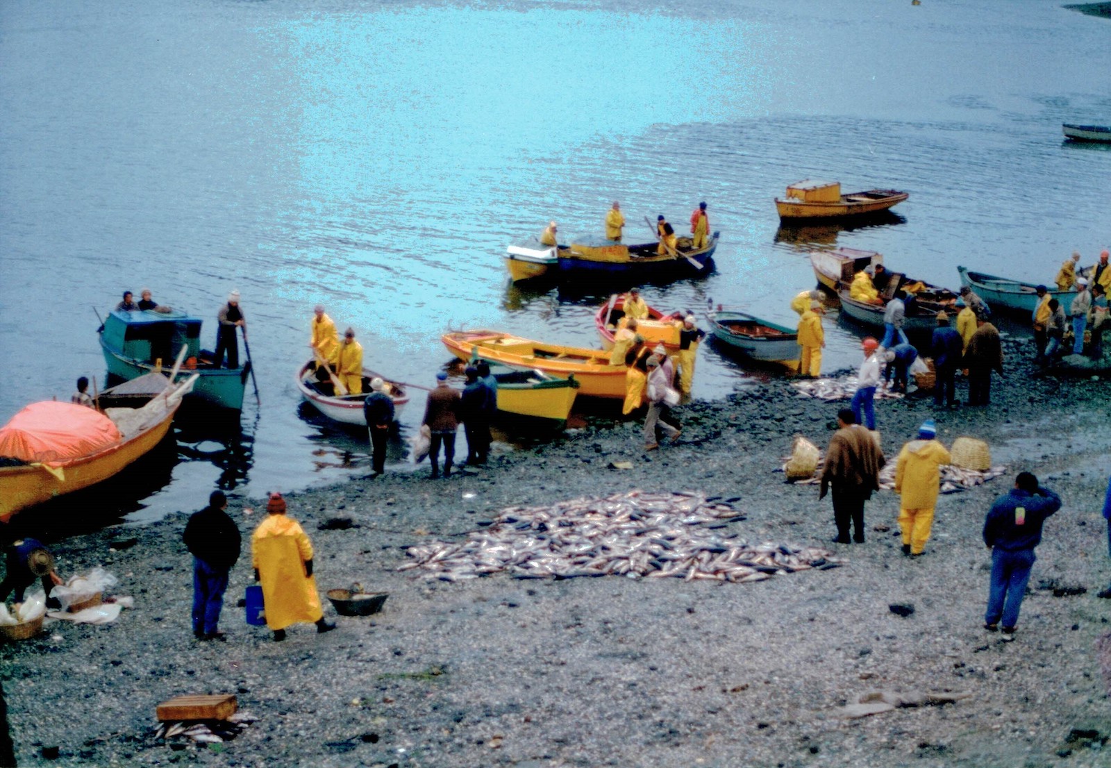 historia_fundacion_llanquihue_27