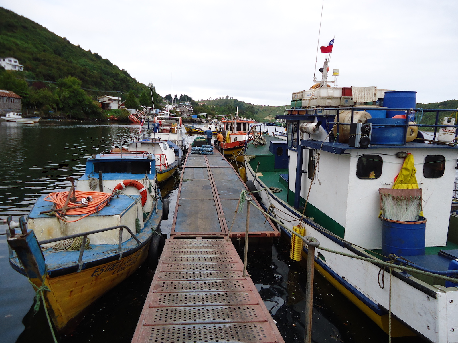 pesca_chile
