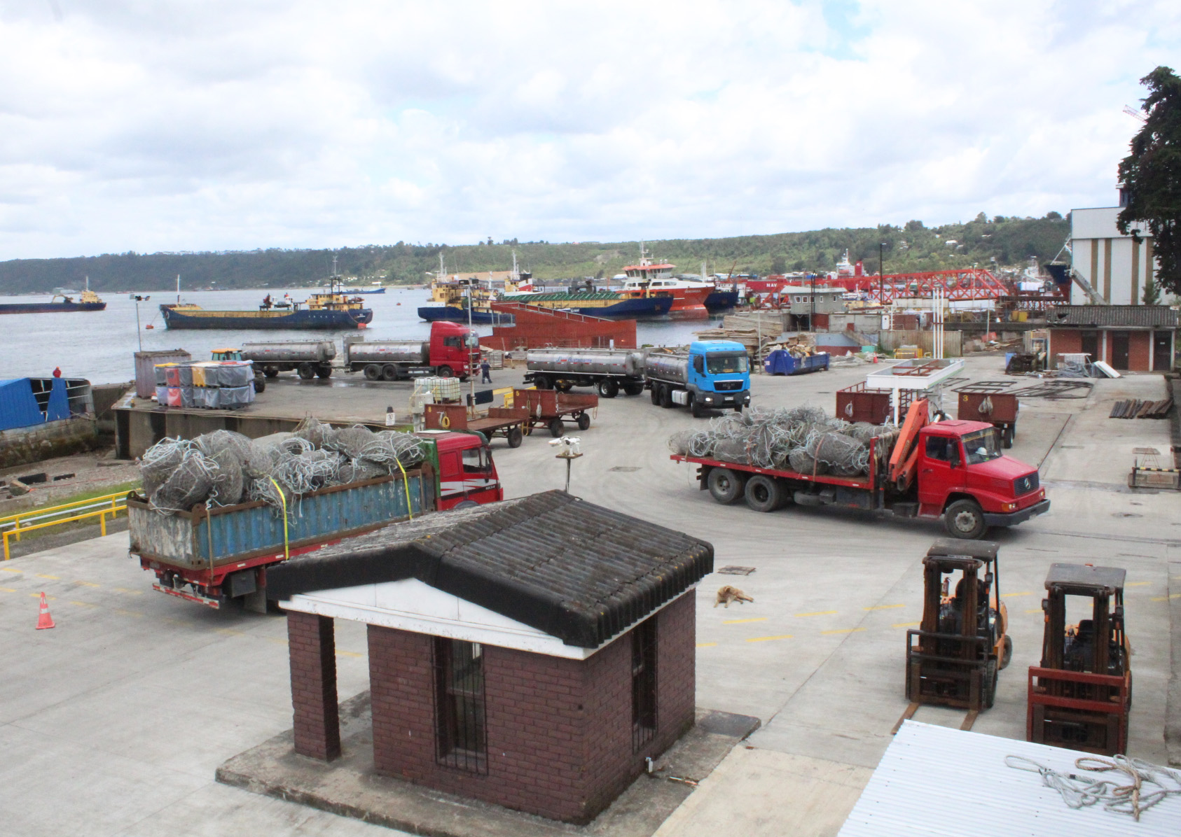chinquihue_fundacion_puerto_montt3