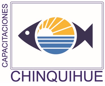 logo chinquihue(1)