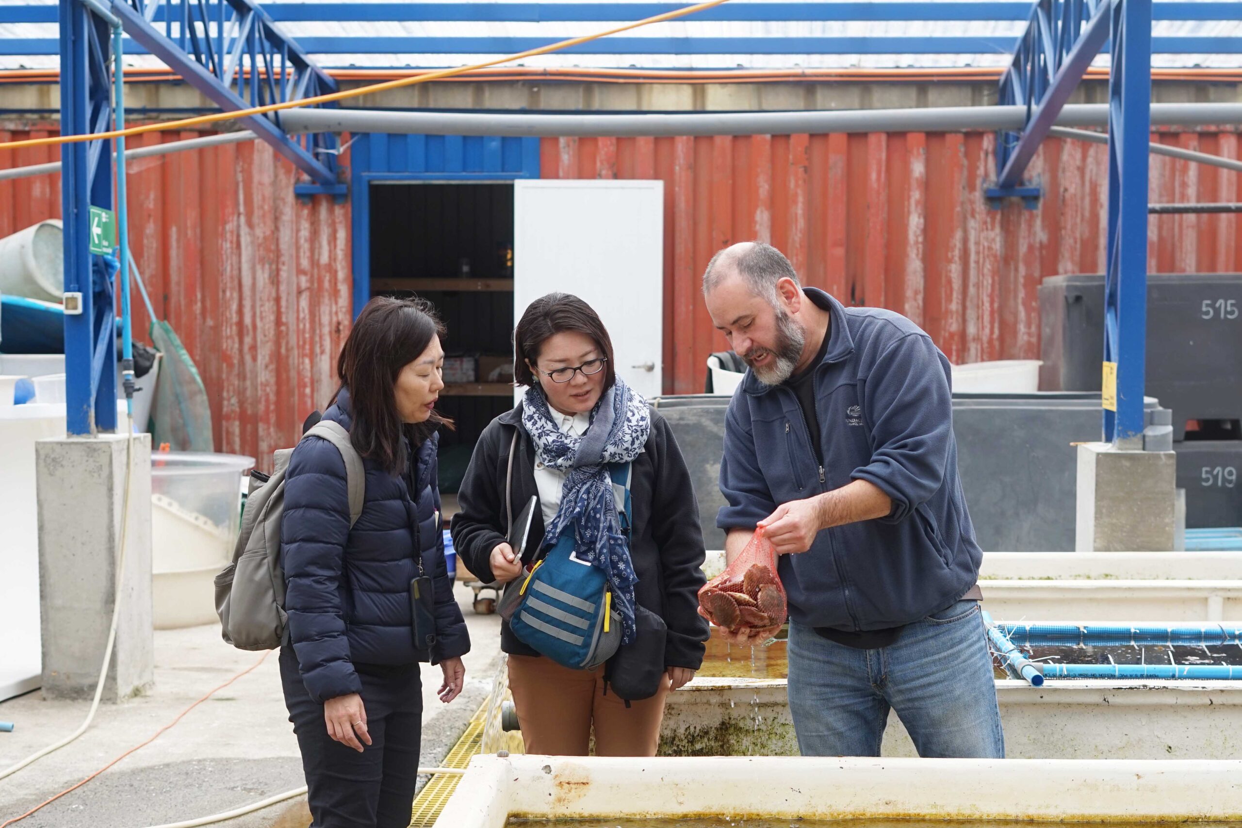 Académicas de la Universidad de Tokio visitaron Fundación Chinquihue para investigar el desarrollo de la acuicultura en el sur de Chile