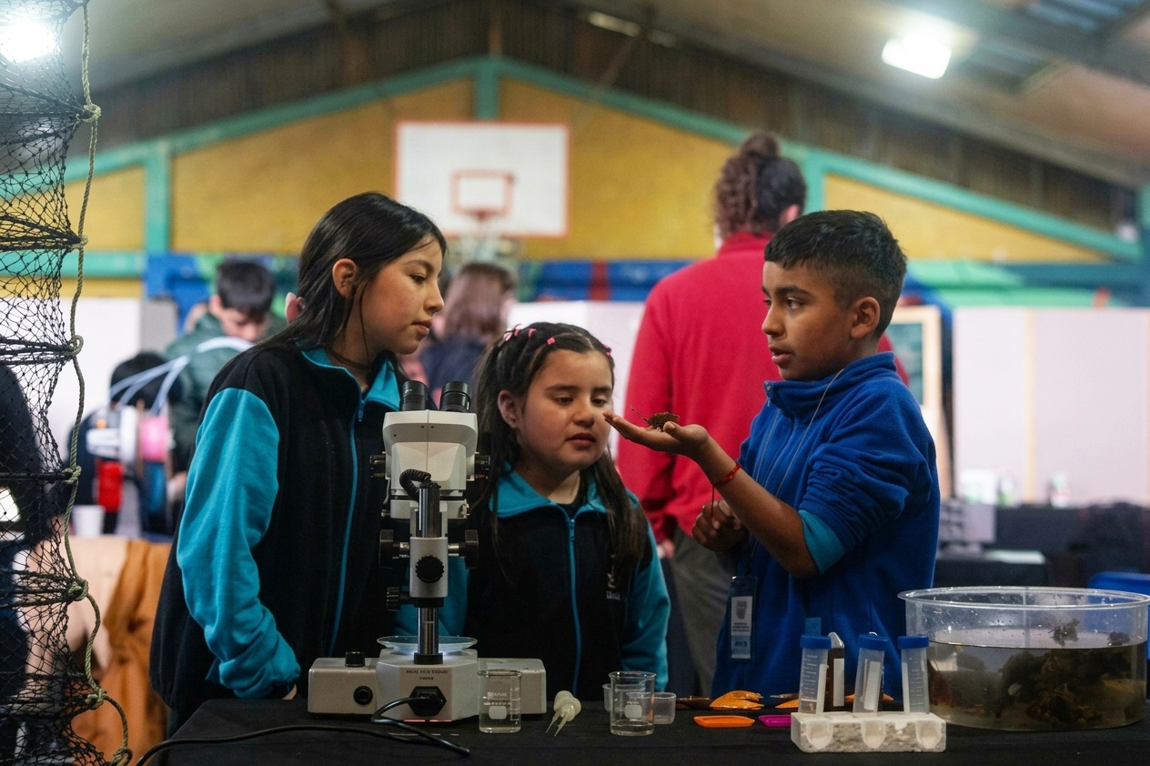 Profesionales de Fundación Chinquihue participaron de la feria “CienTeArt 2026” en Cochamó